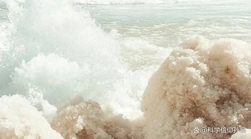 Salt: The Forgotten White Gold