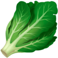 Vegan dishes